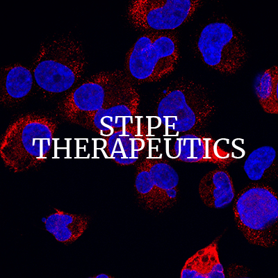 STipe Therapeutics biotech