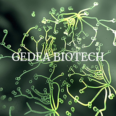 Gedea biotech
