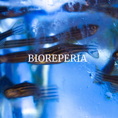 BioReperia biotech